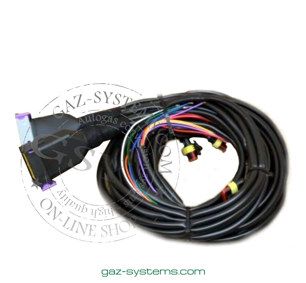 vega gas computers