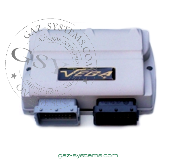 vega gas computers